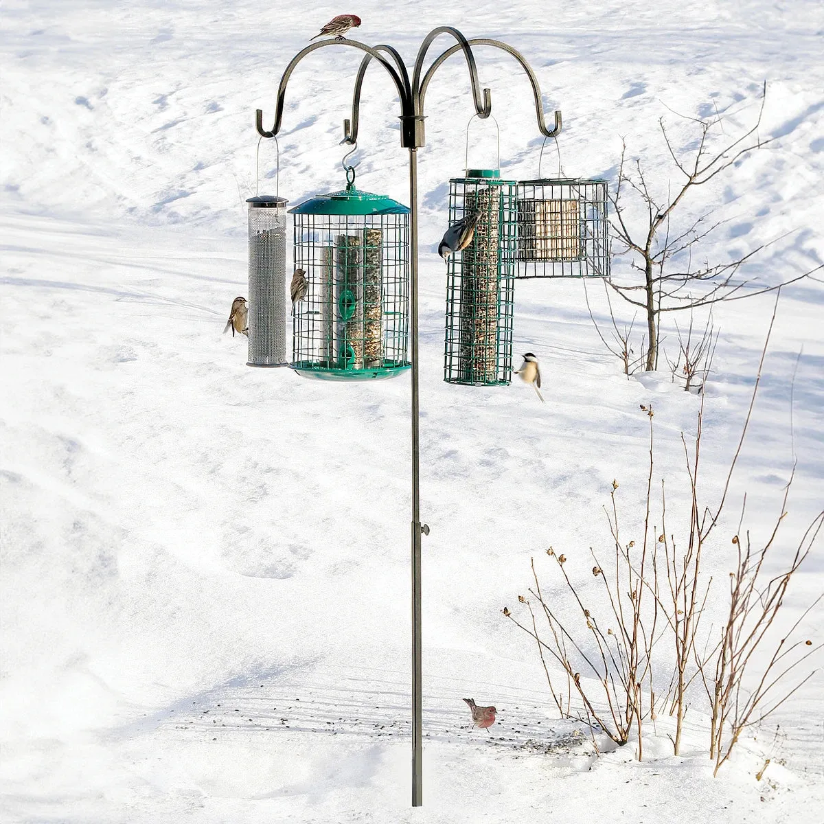 Adjustable Quad Bird Feeder Hanger