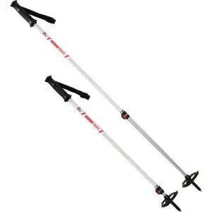 MSR Dynalock Trail Al 2 Section Poles