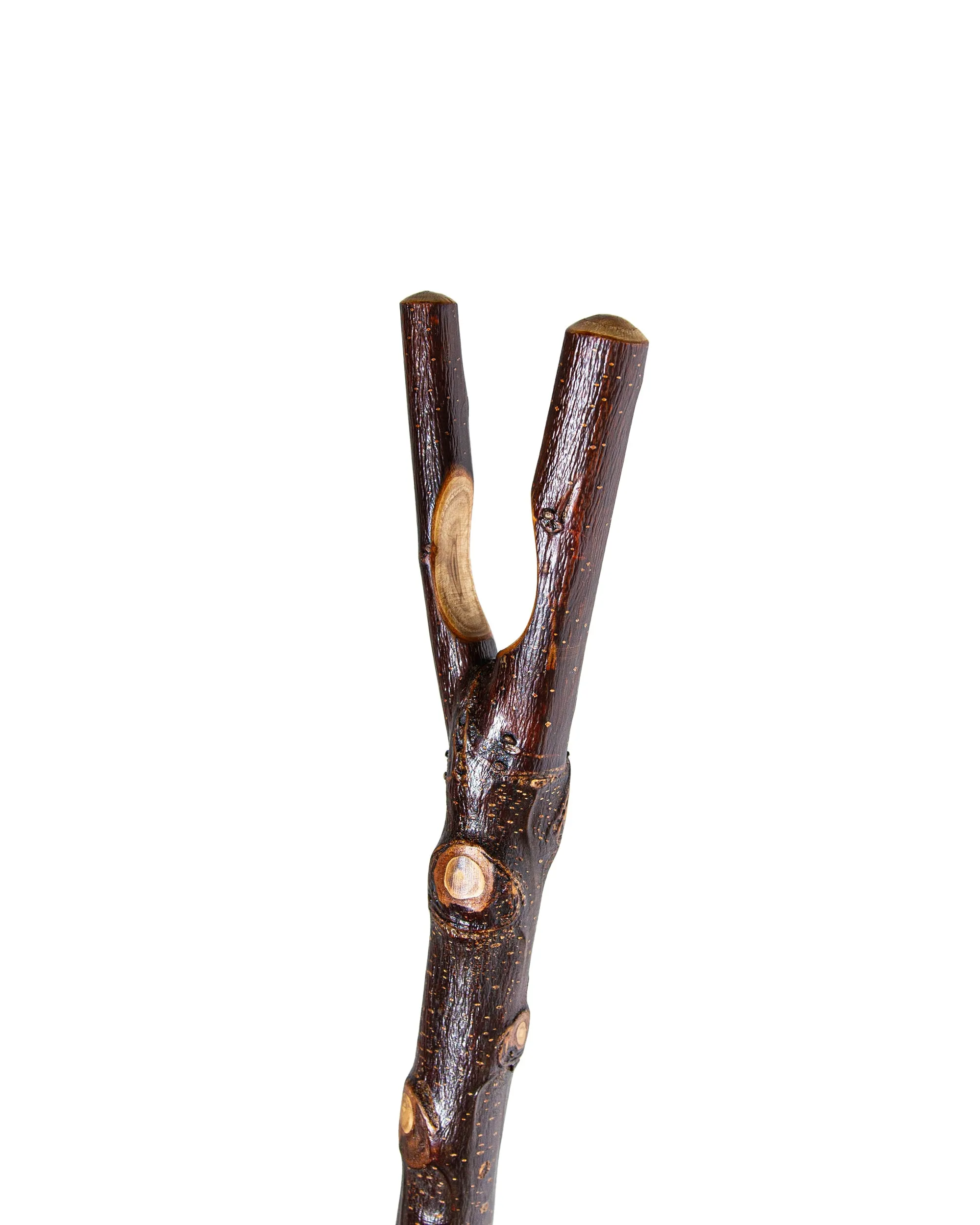 V-Shaped Handle Chestnut Thumbstick With Bark