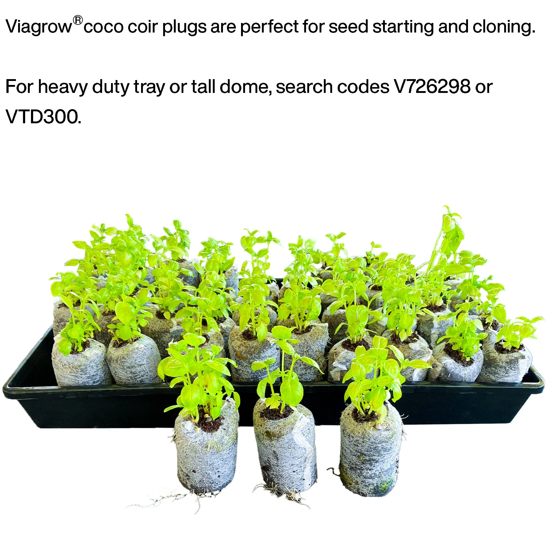 Viagrow Coco Coir Seed Starter Plugs 50 Per Pack, Expandable Coco Discs 50mm (EA)