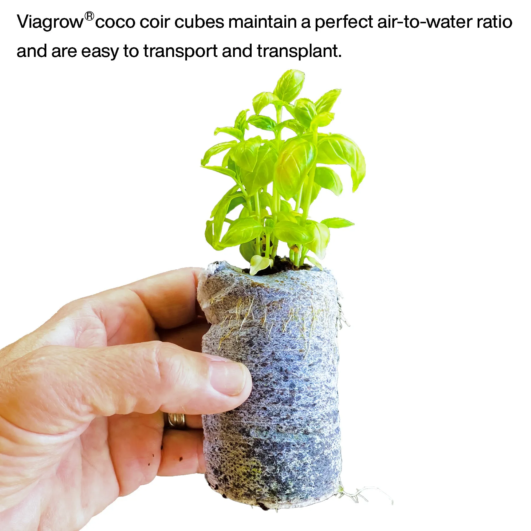 Viagrow Coco Coir Seed Starter Plugs 50 Per Pack, Expandable Coco Discs 50mm (EA)