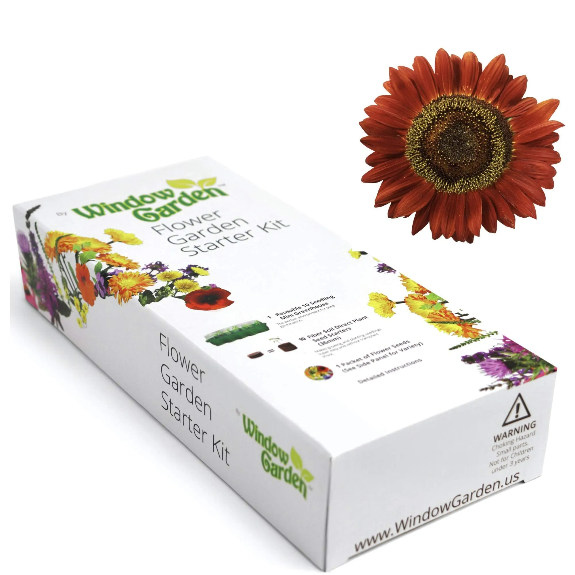 Window Garden - Lemon Queen Sunflower Flower Starter Kit - Grow Beauty. Germinate Seeds